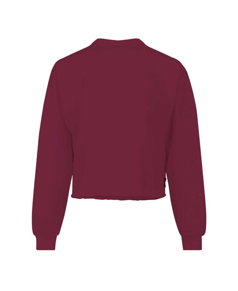 Women's Garnet Florida State Seminoles Slouchy Cropped Long Sleeve T-Shirt