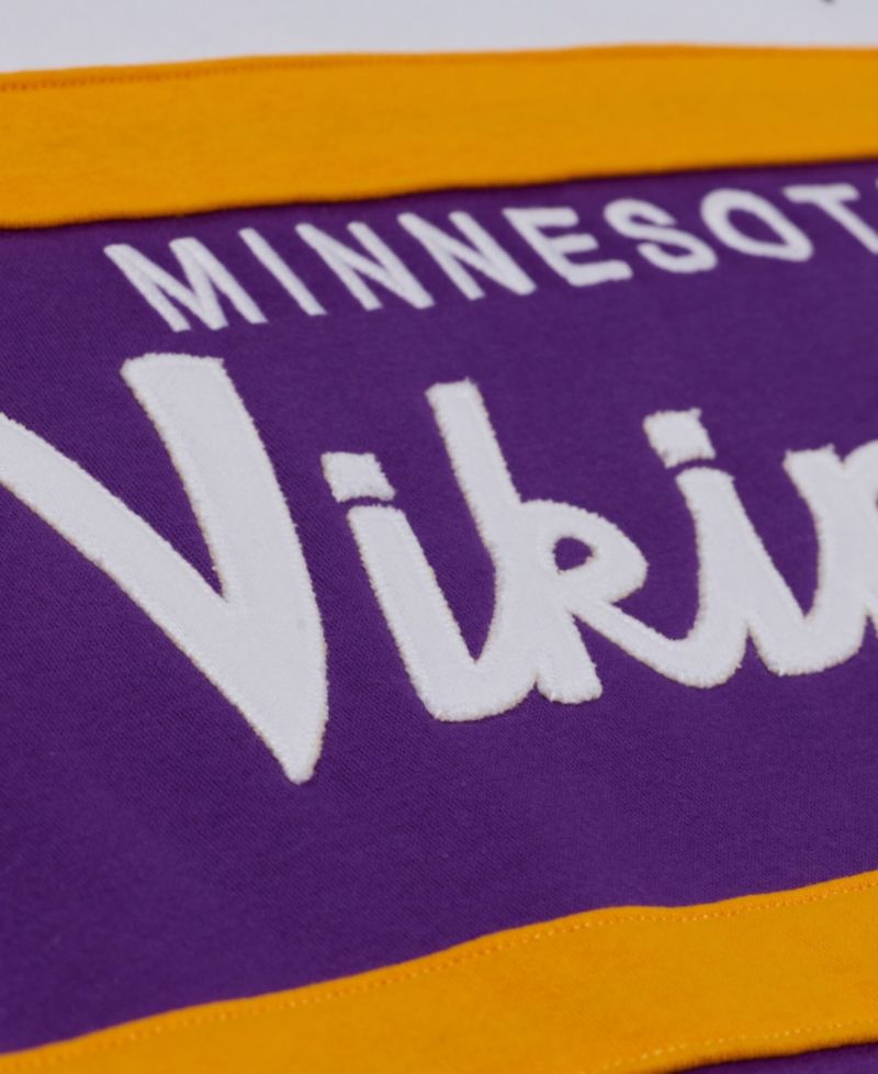 Men's Minnesota Vikings Head Coach Embroidered Graphics Fleece-Lined Hoodie