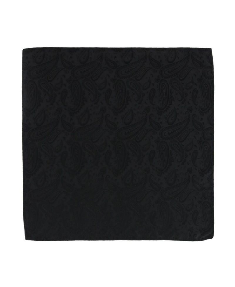 Men's Banbury Tone on Tone Paisley Silk Necktie and Pocket Square Set