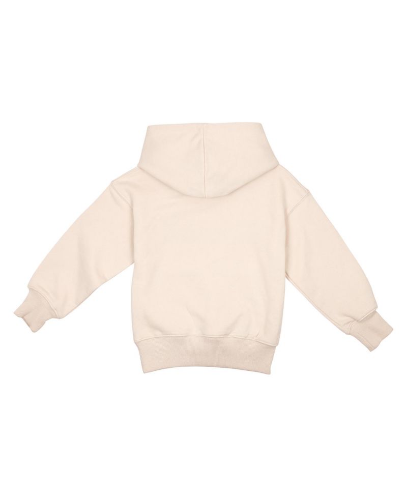 BinkyBro 1970s Hoodie