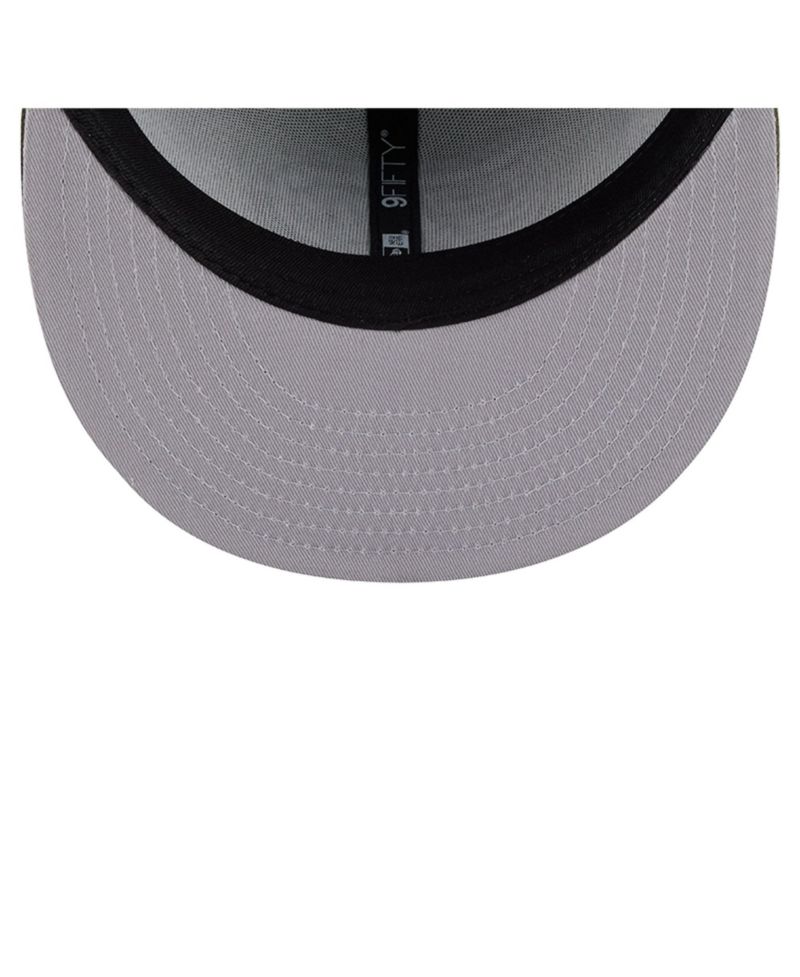Men's Sage Green/Olive Philadelphia Flyers Color Pack 9FIFTY Snapback Hat