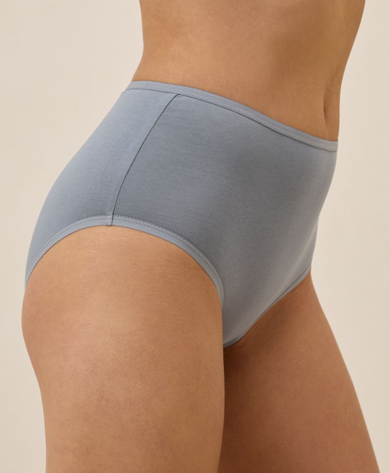 Women's Organic Cotton Everyday High Rise Brief 6-Pack