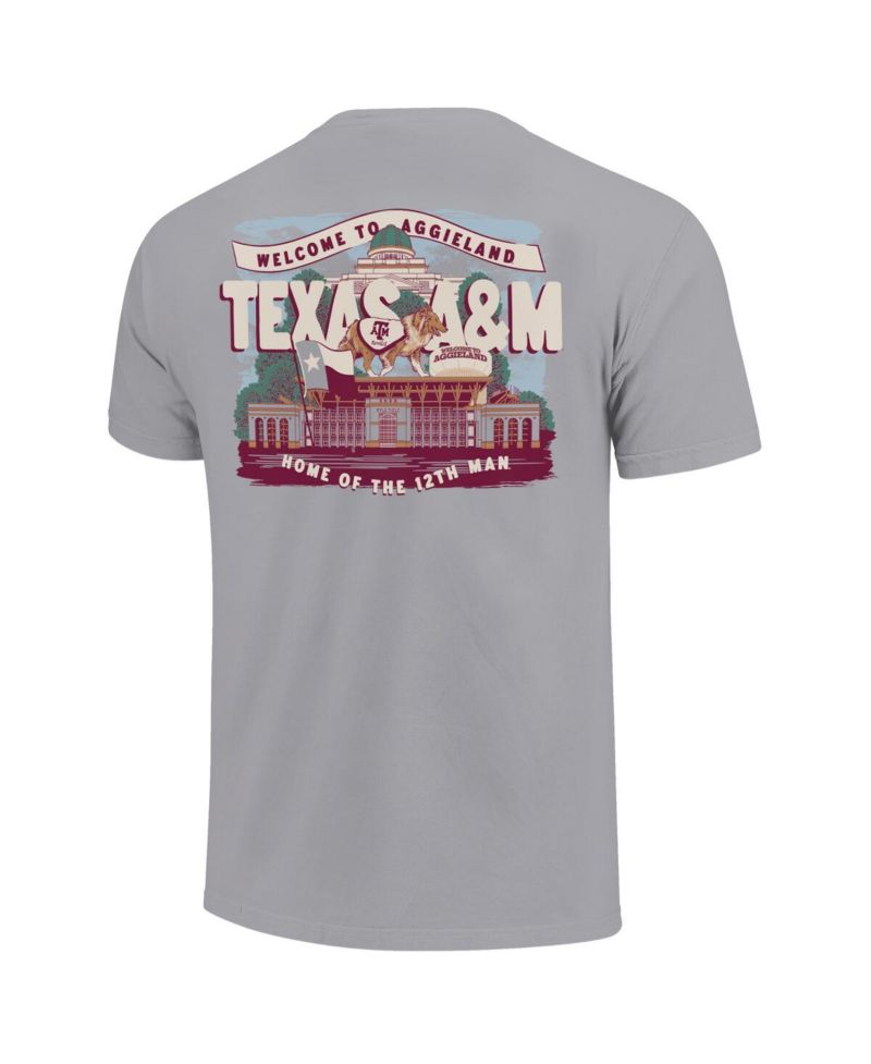Big Boys and Girls Gray Texas A&M Aggies Local Campus Scene T-Shirt