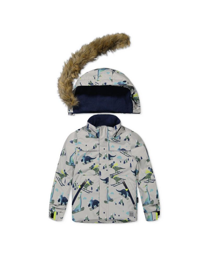 Little Boys 6-8 Two Piece Discover Snowsuit Grey Skiing Dinosaur Print