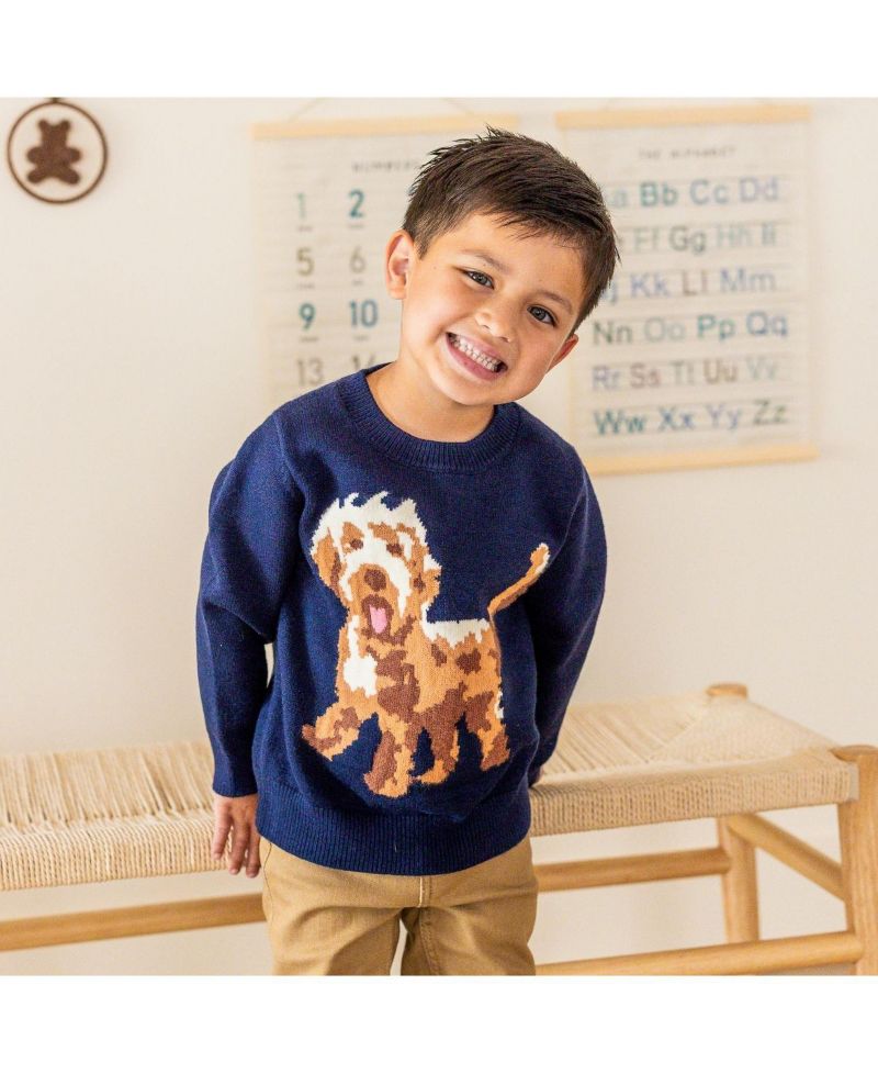 Little Boys Vintage Puppy Sweater