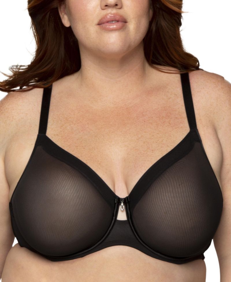 Women's Sheer Mesh Full Coverage Unlined Underwire Bra