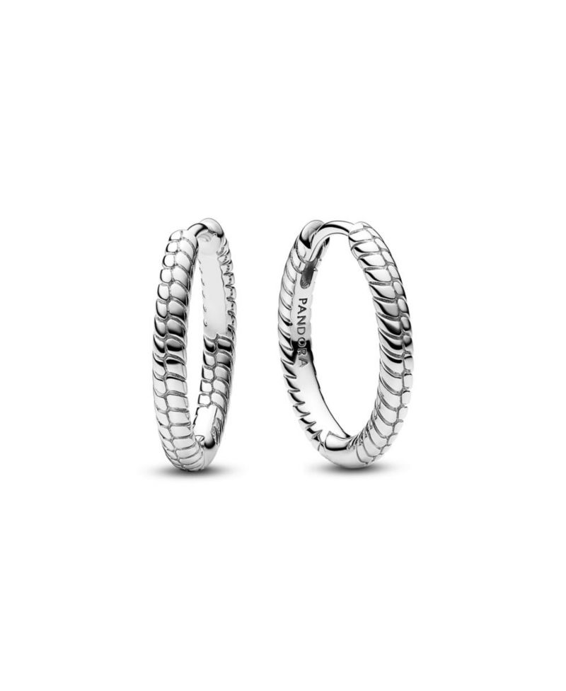 Moments Small Charm Hoop Earrings
