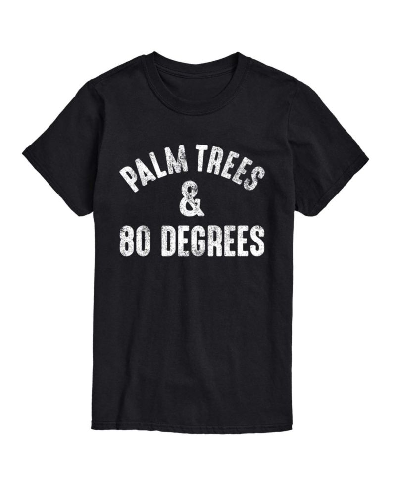 Men's Instant Message Palm Trees And 80 Degrees Graphic T-Shirt