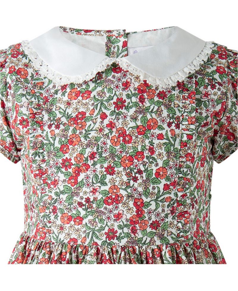 Toddler Girls' 2T-5T Botanical Frill Front Puff Sleeve Dress