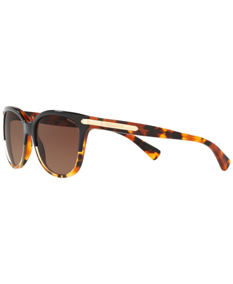 Polarized Polarized Sunglasses , HC8132