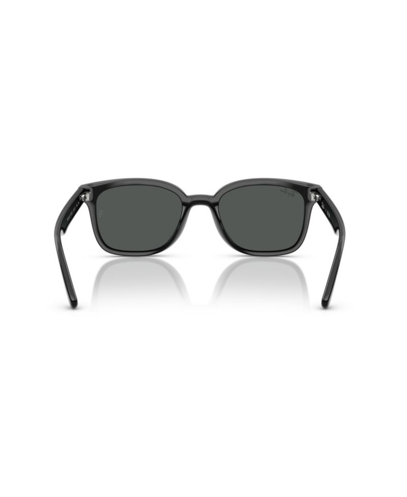 Rectangle Low-Bridge Sunglasses RB4461D