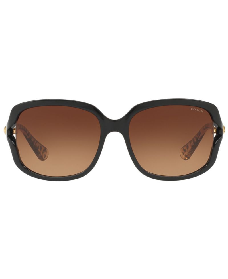 Sunglasses, HC8169