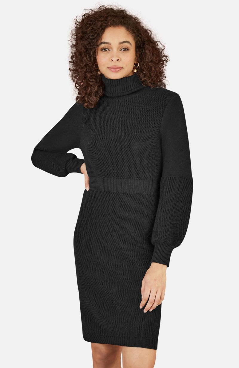 Women's Roll Neck Knitted Dress