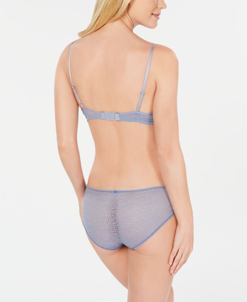 Modern Lace Sheer Demi Bra & Hipster