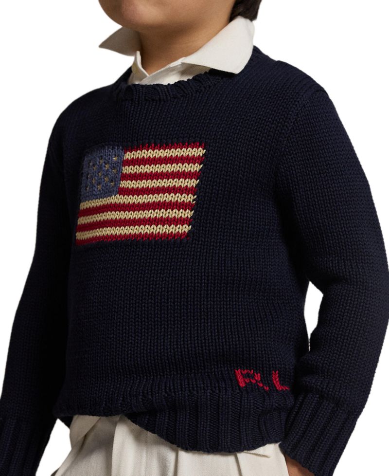 Toddler and Little Boys The Iconic Flag Sweater