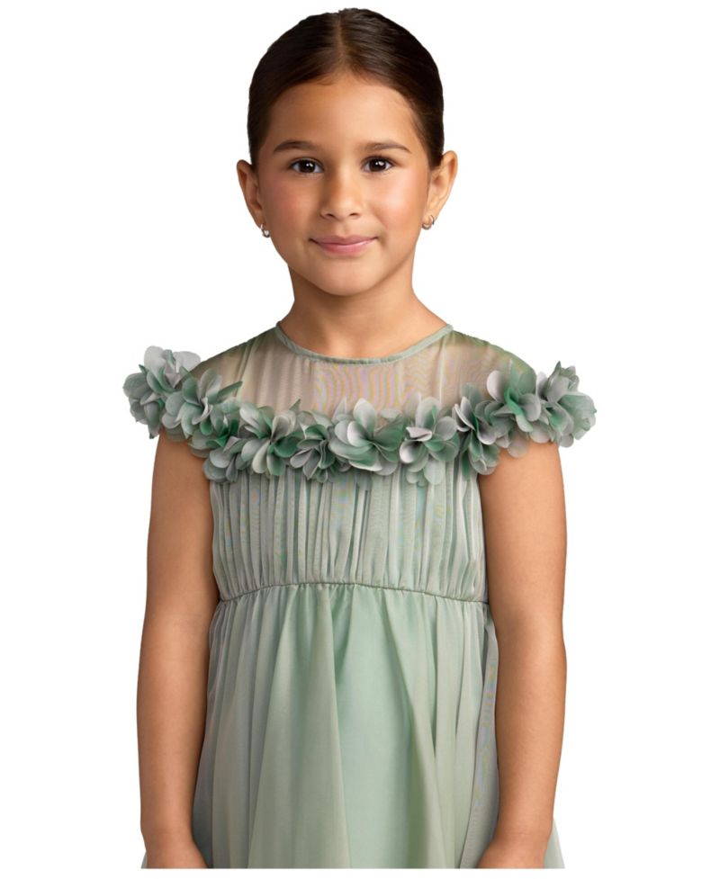 Big Girls Floral Applique Chiffon A-Line Dress
