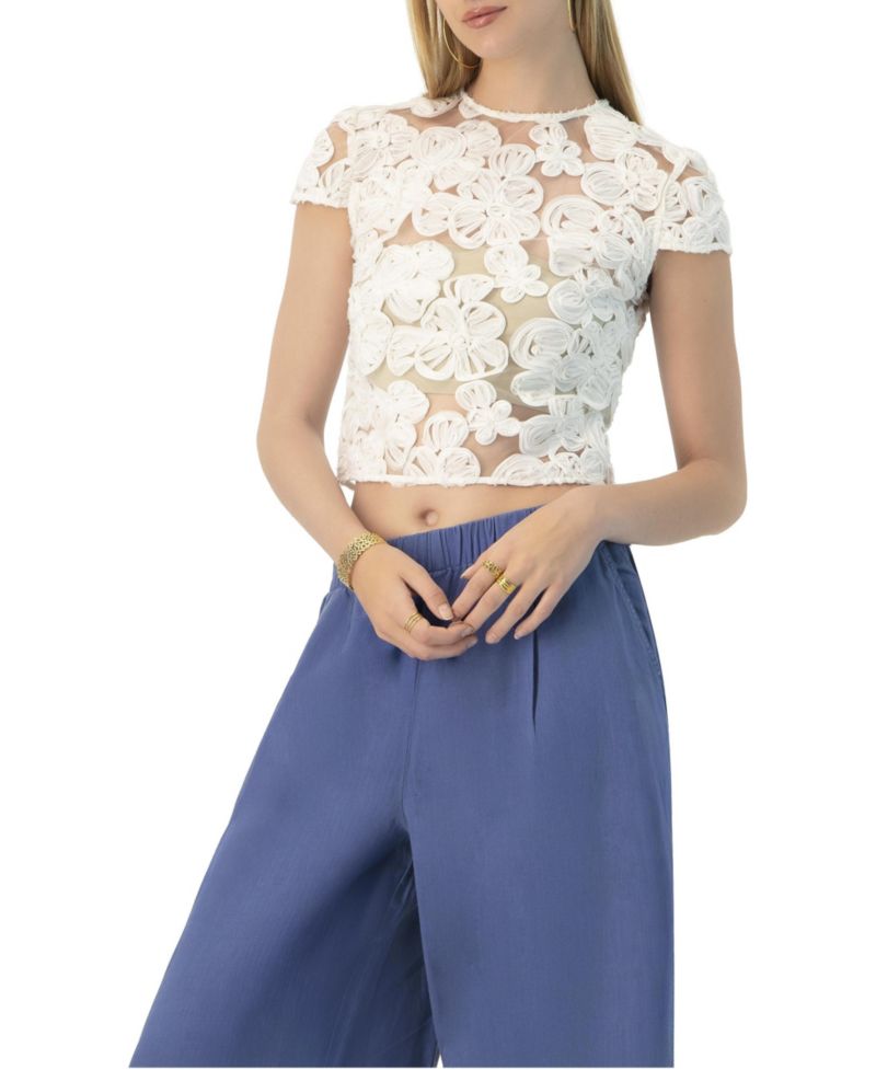 Women's See-Through Embroidered Top