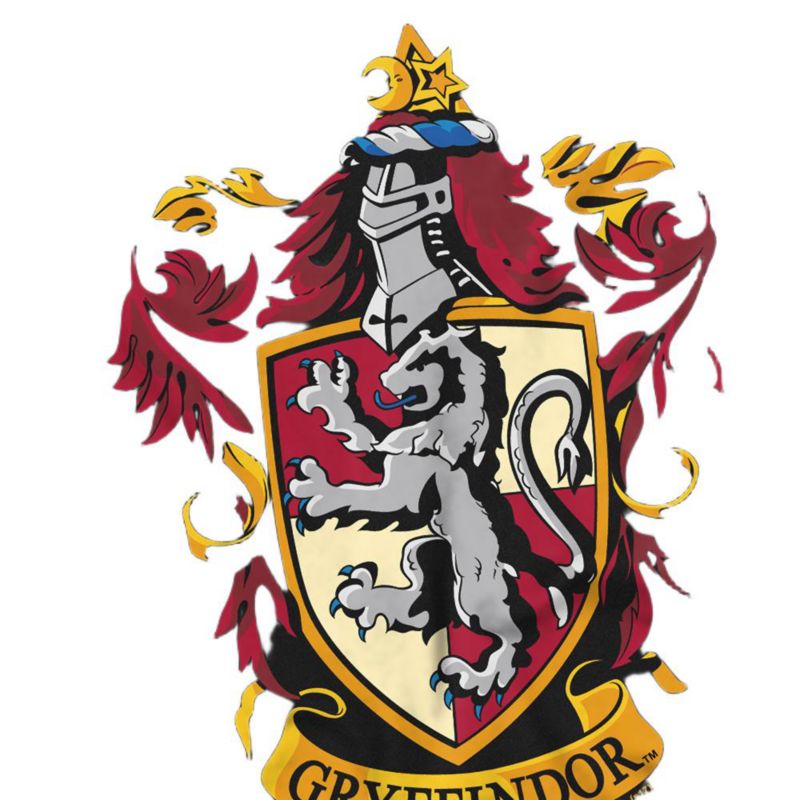 Big & Tall Gryffindor Crest T Shirt
