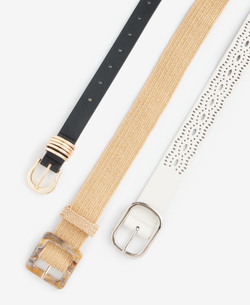 3 for 1 Seasonal and Core Belt Set
