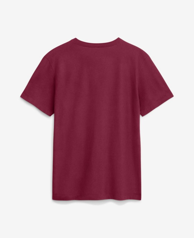 Men's Garnet Florida State Seminoles Primetime Football Icon T-Shirt