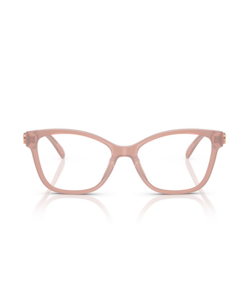 Woman Cat Eye Plastic HC6246U Eyeglasses