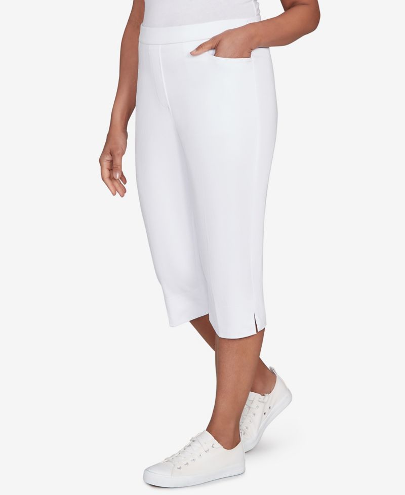 Petite Classic Allure Stretch Clamdigger Pants