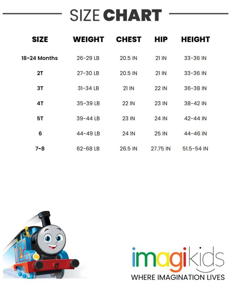 Little Boys Pullover Hoodie