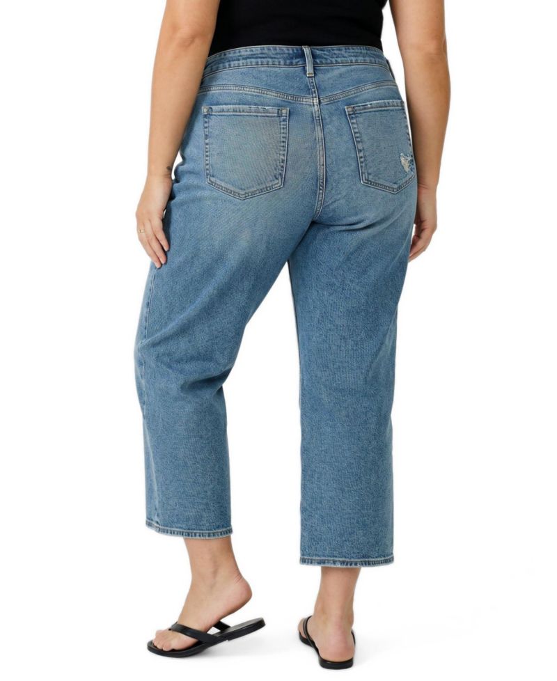 Plus Size High-Rise Straight Ankle Jeans