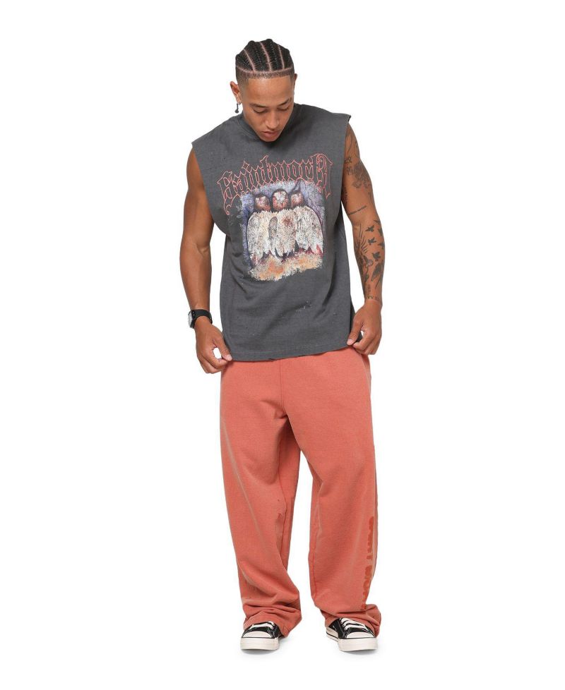 Mens Birds Of Prey Muscle T-Shirt Washed Charcoal