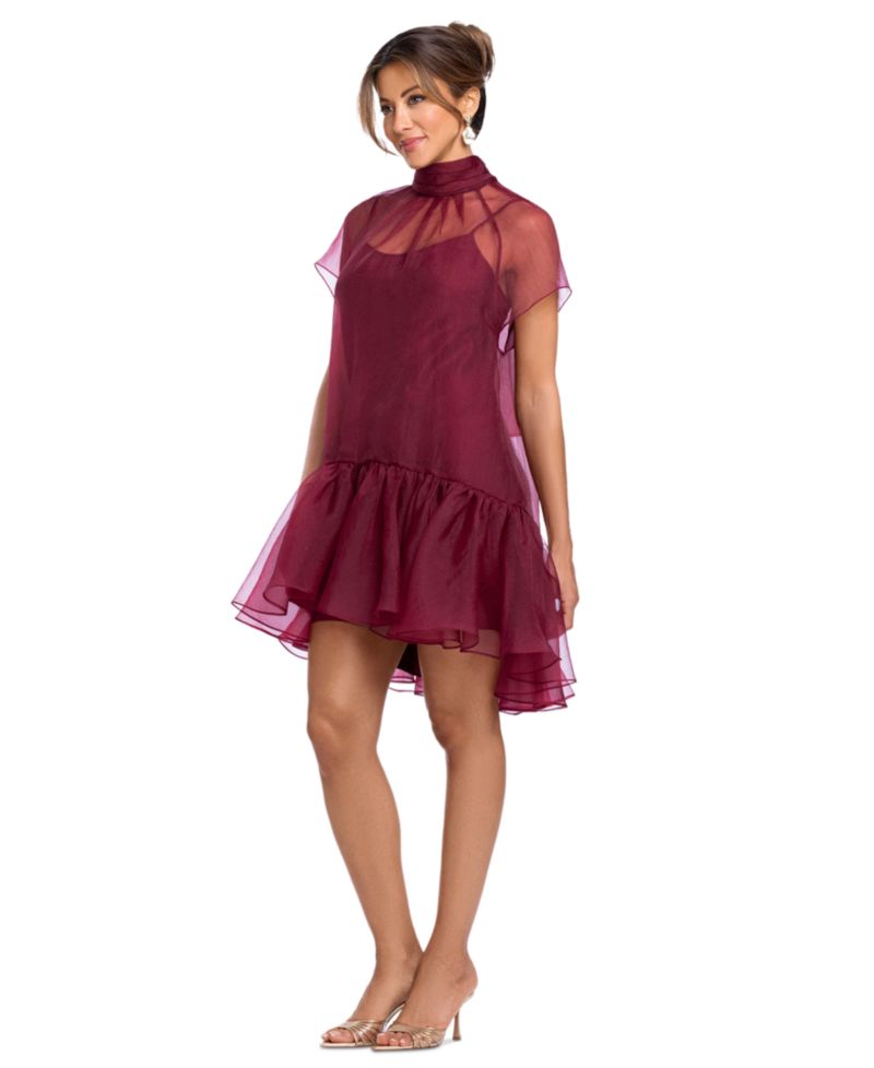 Women's Organza Mock Neck Ruffle Hem Dress