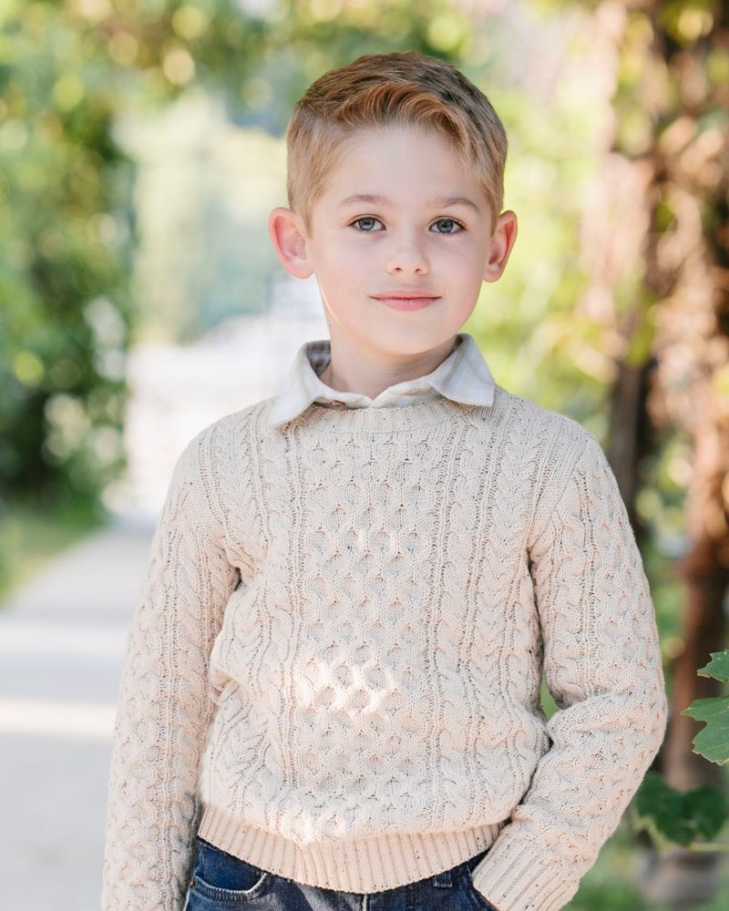 Hope and Henry Little and Big Boys' Organic Long Sleeve Fisherman Cable Pullover Sweater