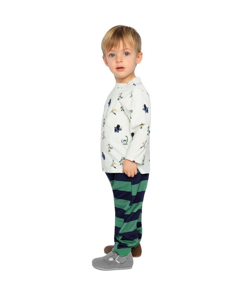 Baby Boy (6M-24M) Cotton T-Shirt and Fleece Pant Set Dinosaur Print