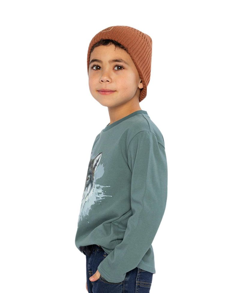Little Boys 6- 12 Long Sleeve T-Shirt Turquoise