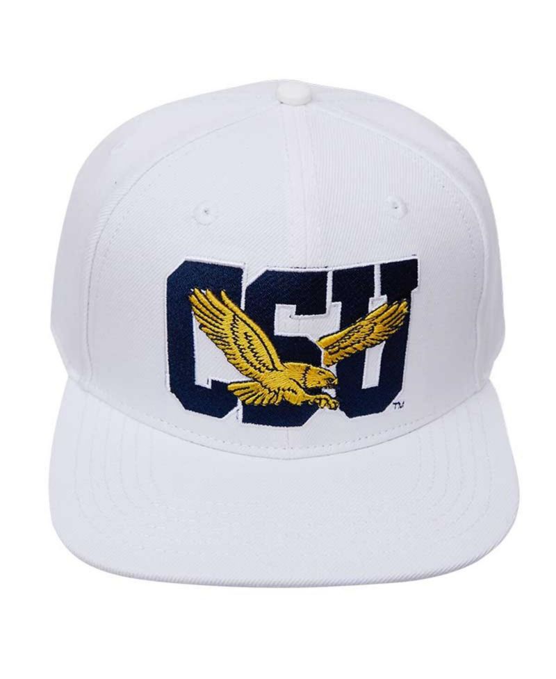 Men's White Coppin State Eagles Evergreen Wool Snapback Hat
