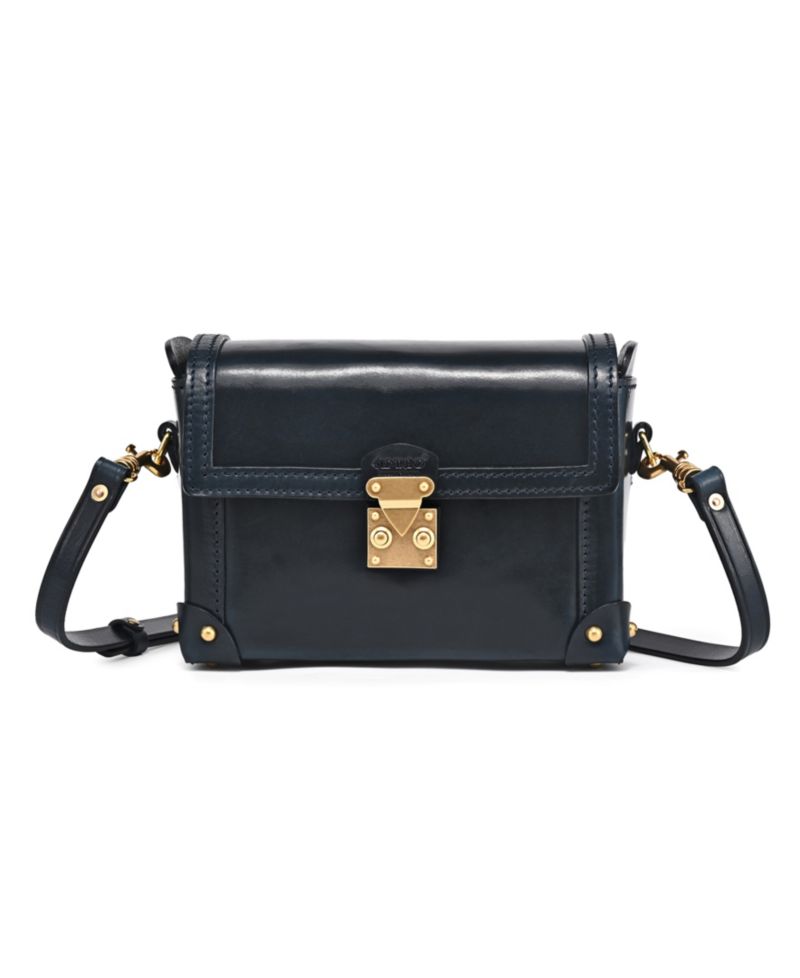 Azalea Vintage Case Crossbody Bag