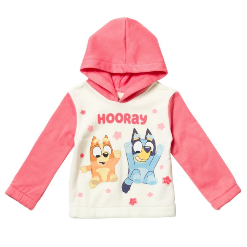 Girls Pullover Hoodie and Fleece Pants Outfit Set