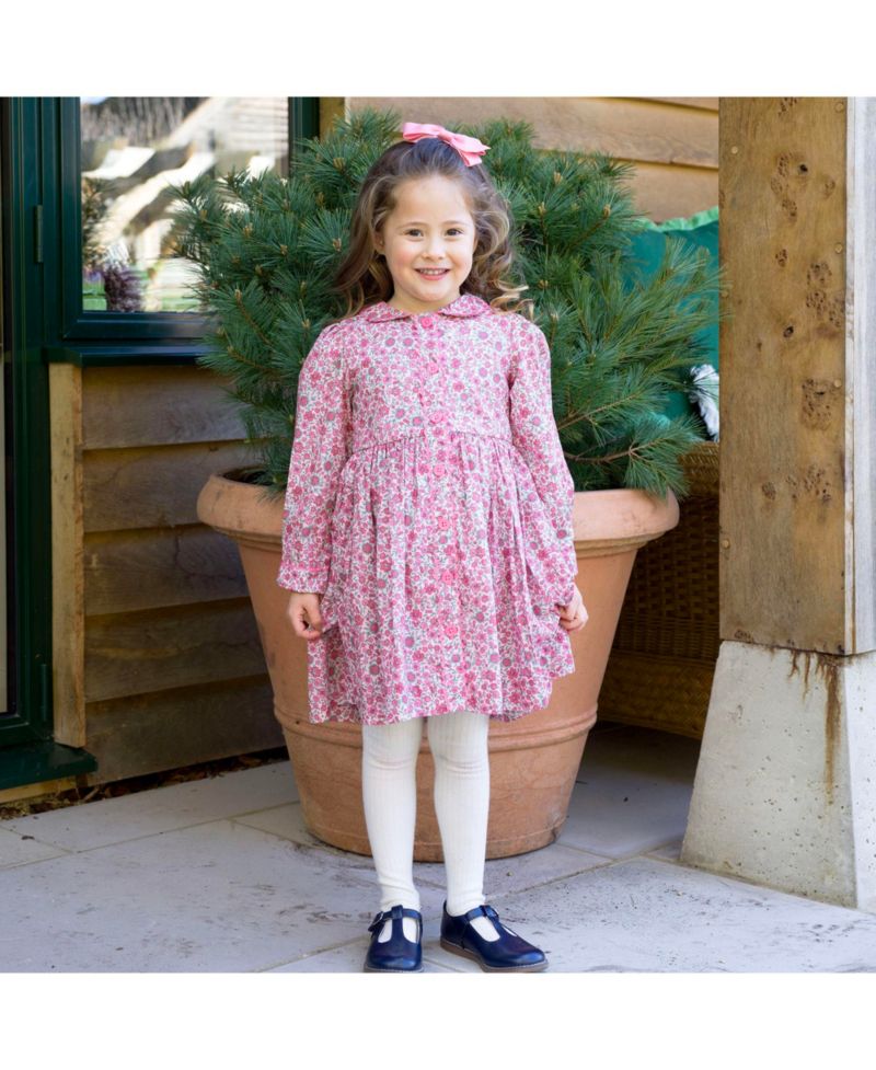 Toddler Girls' 2T-5T Cosmos Long-Sleeve Floral-Print Dress