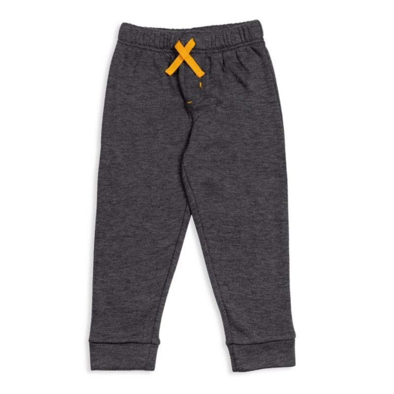 Toddler Boys 2T - 5T Fleece Hoodie and Pants Outfit Set