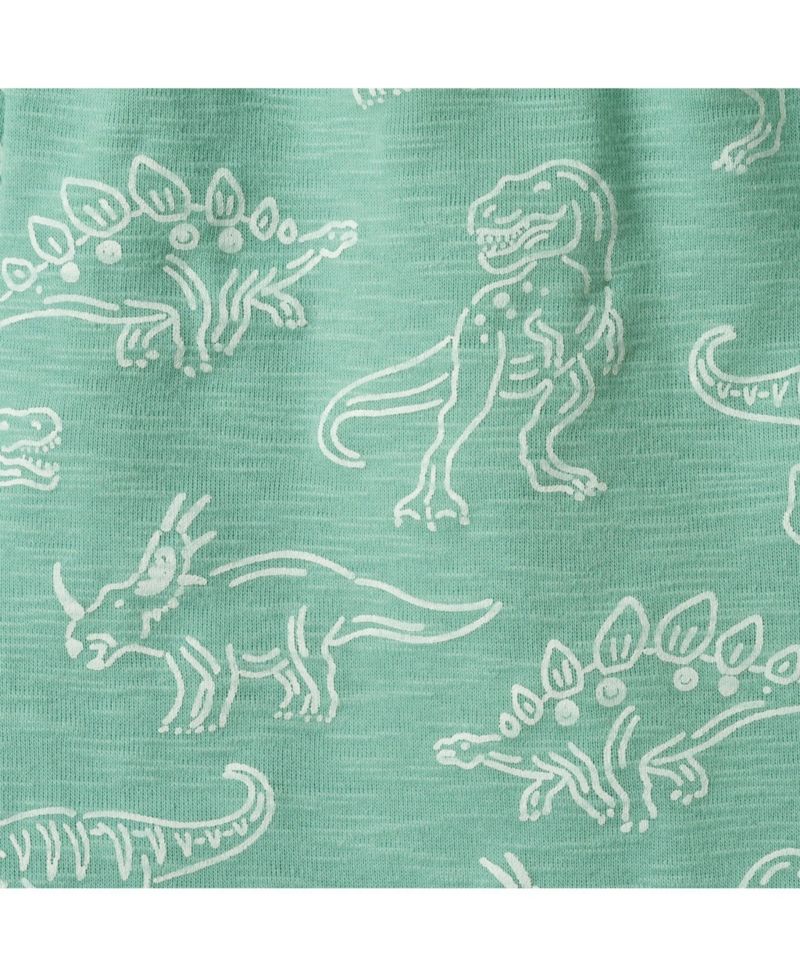 Andy and Evan Little Boys Graphic Print Henley Set
