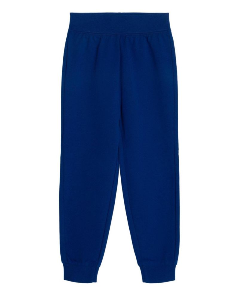 Little Boy's (5-8) Athletic 2-Piece T-Shirt and Jogger Set