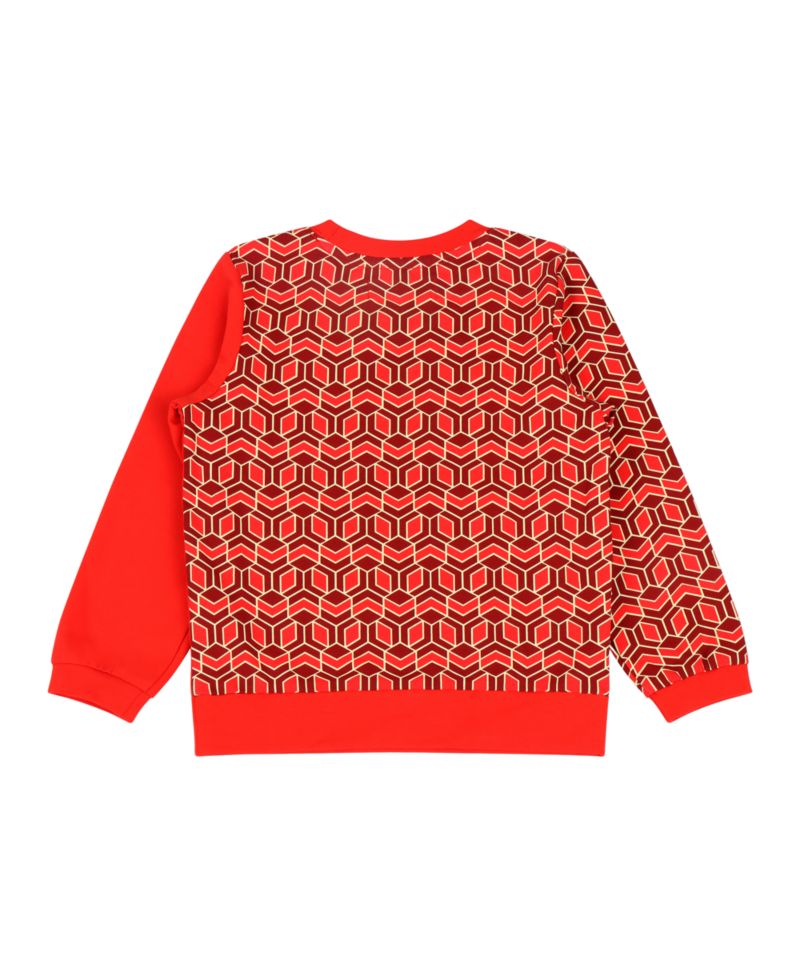 Boys Crewneck Sweatshirt and Jogger Pants Set - Red Multicolor