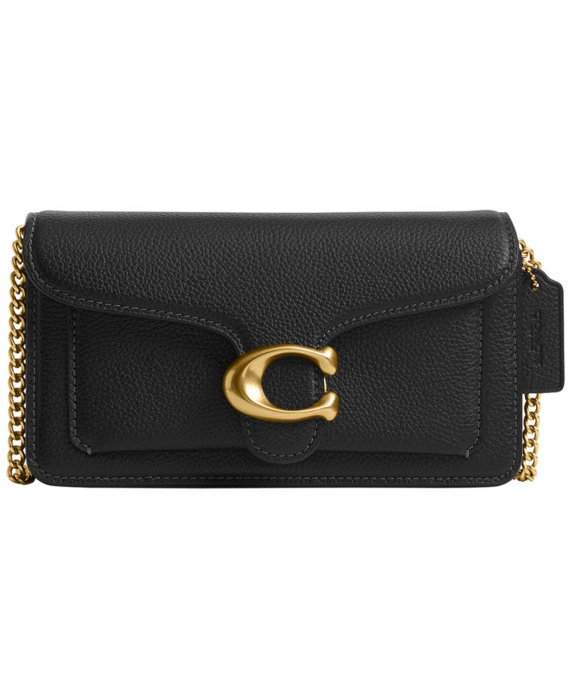 Tabby Mini Pebble Leather Chain Crossbody Bag 19