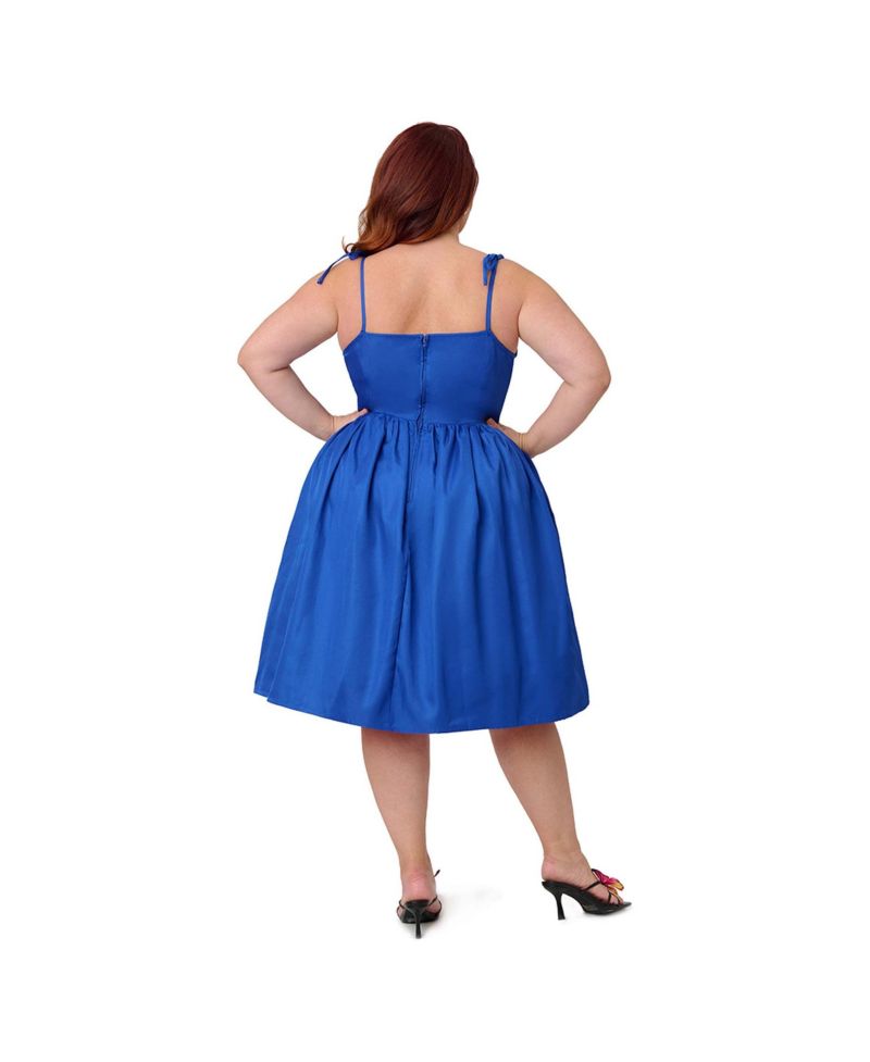 Women's Plus Size 1950s Bobbie Swing Dress