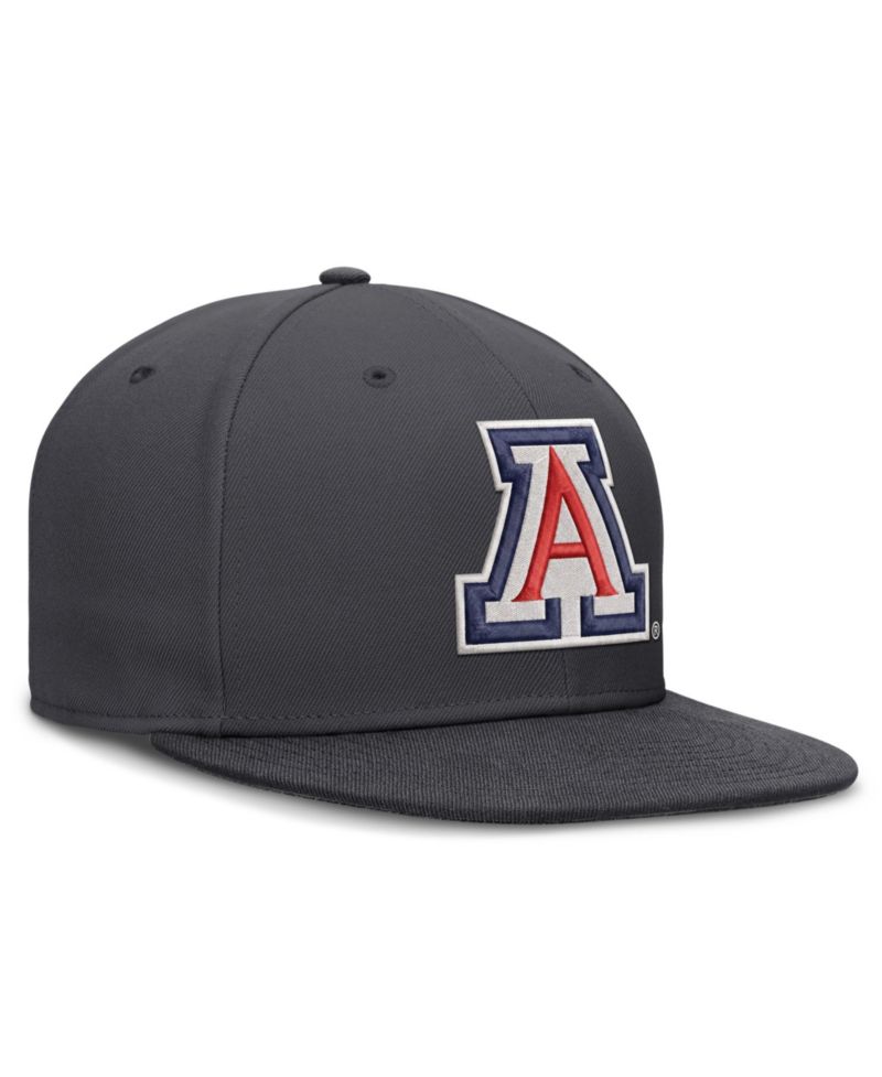 Men's Anthracite Arizona Wildcats Pro Dri-FIT Fitted Hat