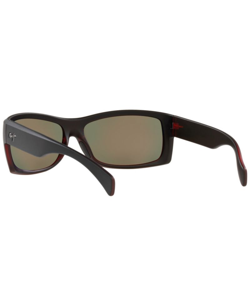 Unisex Polarized Sunglasses, EQUATOR 65
