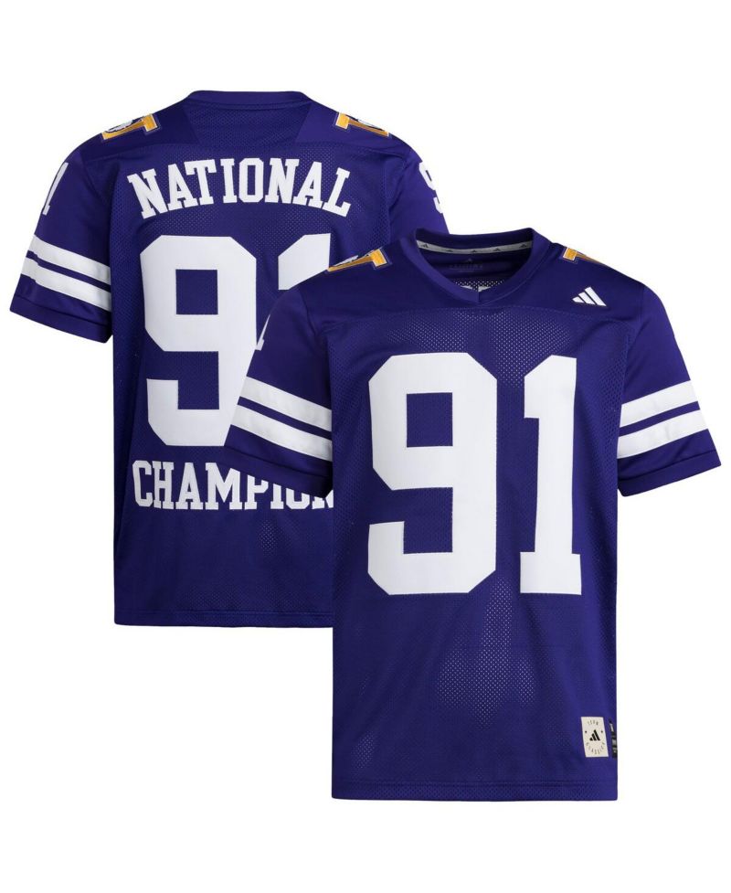 Men's Purple Washington Huskies 1991 National Championship Anniversary Icon Football Jersey