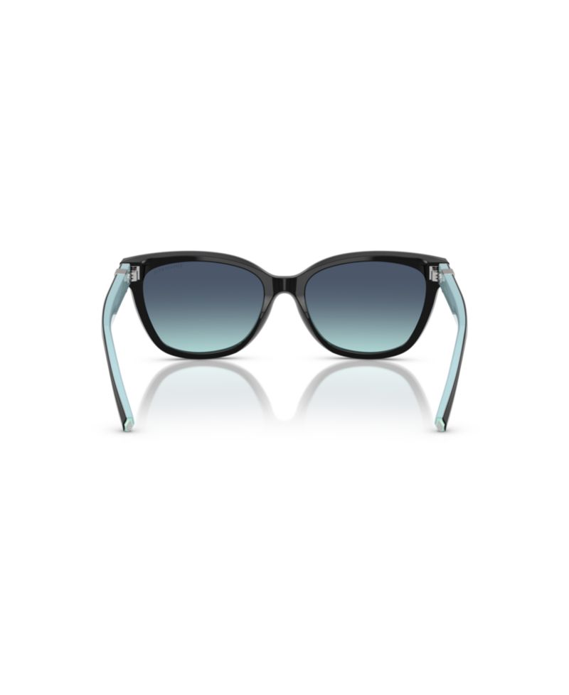 Women's Large Sunglasses, TF4237B