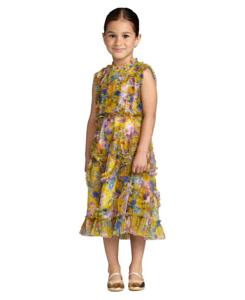 Big Girls 2-14 Sleeveless Mesh Ruffle High Neck Dress