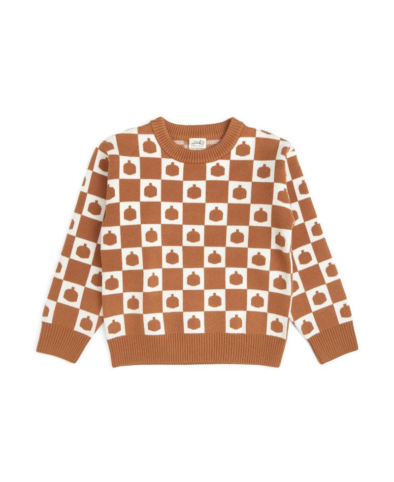 Big Boys (10-12) Pumpkin Checkers Sweater