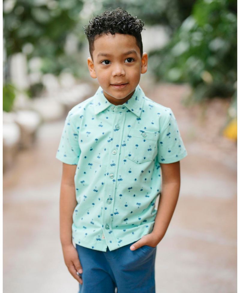 Little and Big Boys' Organic Short Sleeve Jersey Knit Shirt